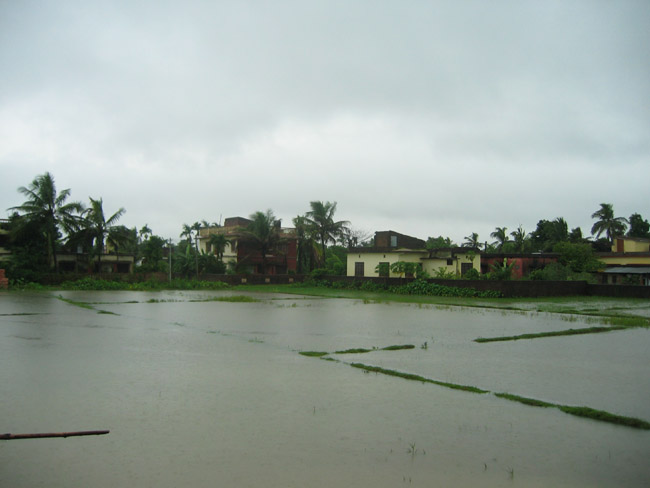 Out the window -  Monsoon2