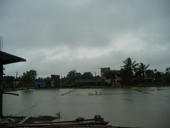 Out the window - Monsoon