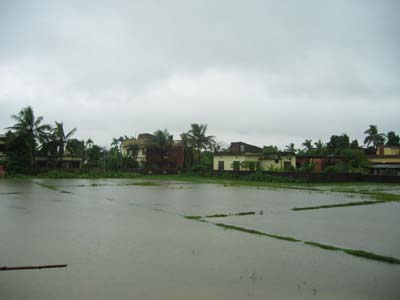 Out the window -  Monsoon2