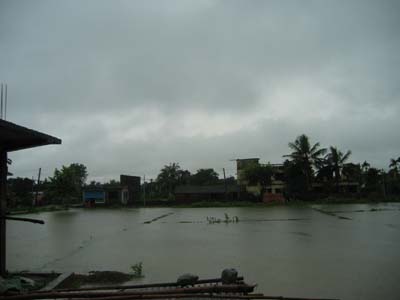 Out the window - Monsoon