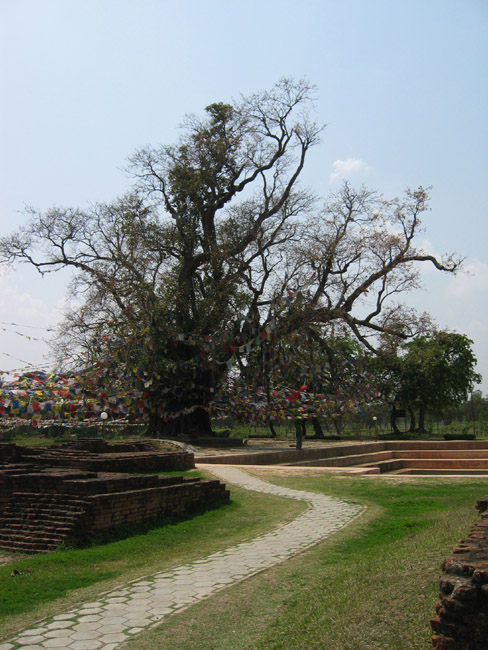 Lumbini 2