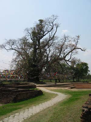 Lumbini 2