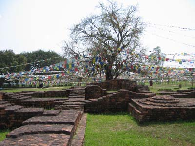 Lumbini 3