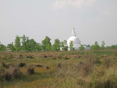 Lumbini 6