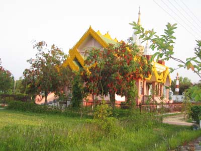 Lumbini Temple 4