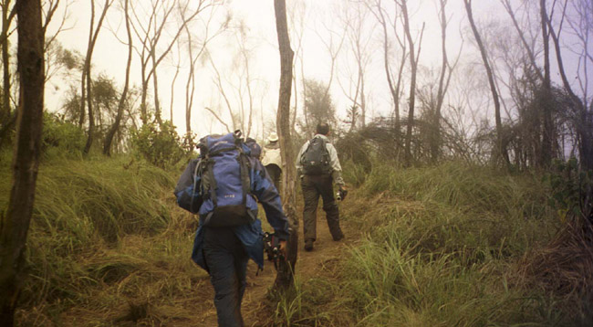 Laura, Moazam, and Wasseim on the trail ahead