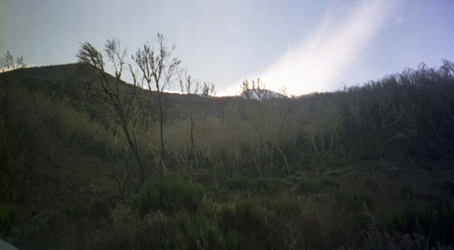 Looking out past the first campsite
