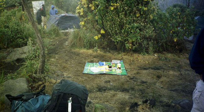 Our lovely dining table