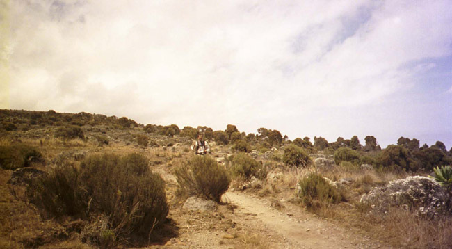 The plateau location of the second campsite (Shira Hut)