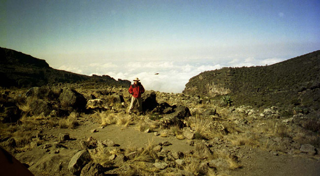 Colin, and a big bird flying behind him