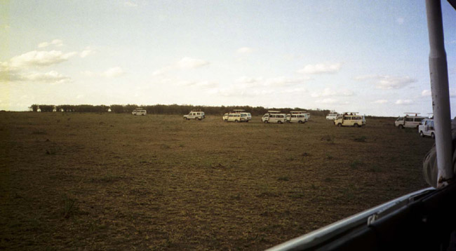 Safari vans circling the cheetahs