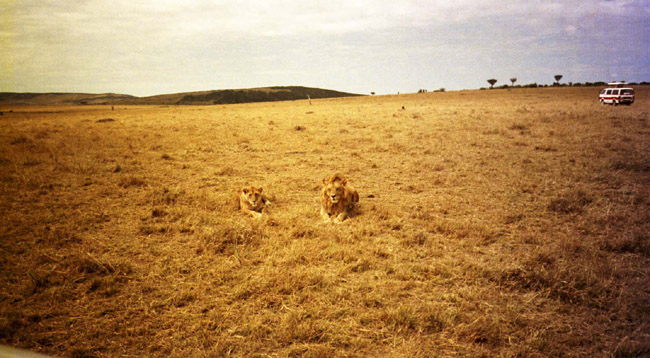 Yeah, I'm lookin' at you