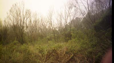 Kili trek, first day