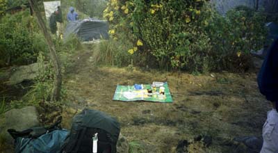 Our lovely dining table