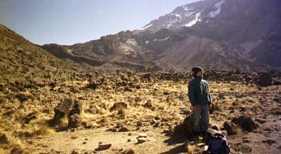 Wasseim, looking inspired