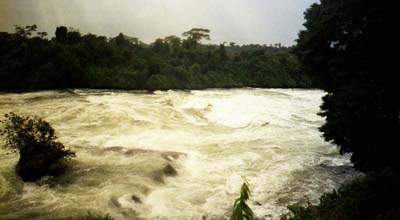 Again, the grade 6 rapid on the Nile we didn't raft, but...