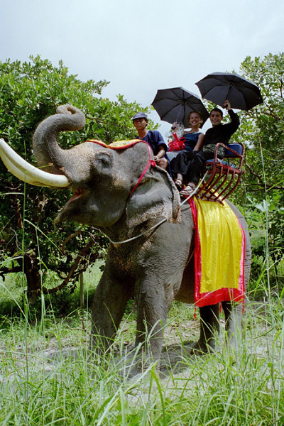 The bride and groom riding out on their 'limo'