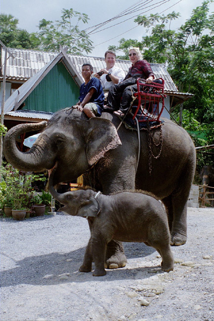 Peter and Dorene, riding the mother elephant (with her baby in tow)