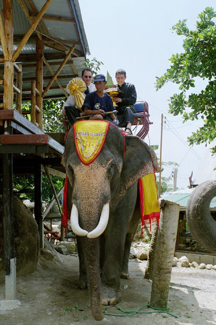 Colin and Aarron, just after boarding their elephant