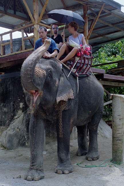 Jeremy and Linda on their elephant