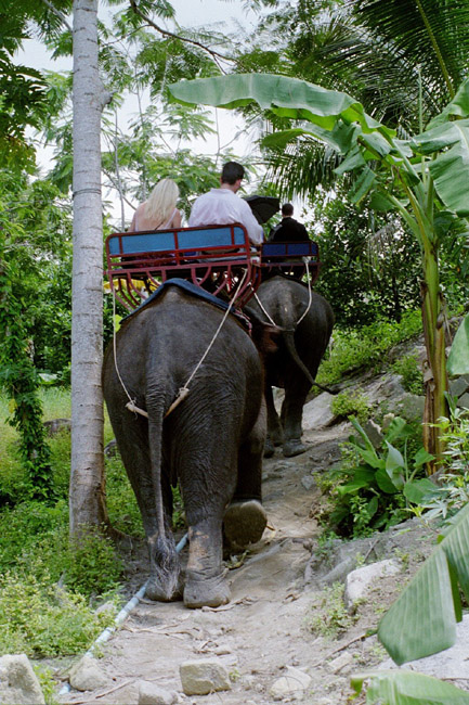 Debra and Mark heading up the hill