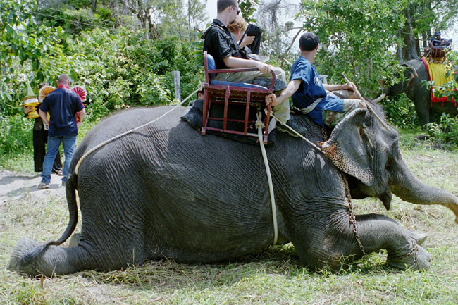 Jeremy and Linda getting off the elephant at the wedding site