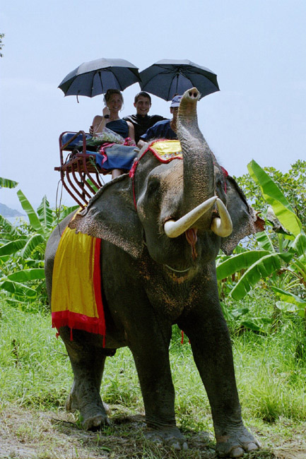 The happy couple (1)