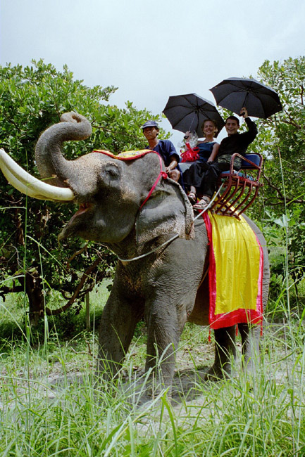 The happy couple (2)