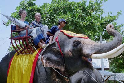 Hodge,father of the groom, and Laura on board their elephant at the front of the train