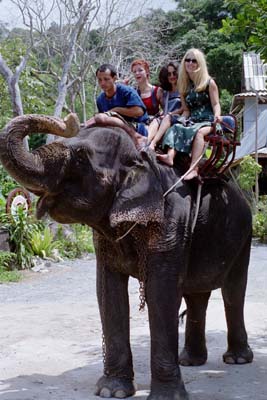 Melissa, Eileen (mother of the groom), Ruby (sister of the groom), and an elephant (bride's party