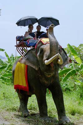 The happy couple (1)