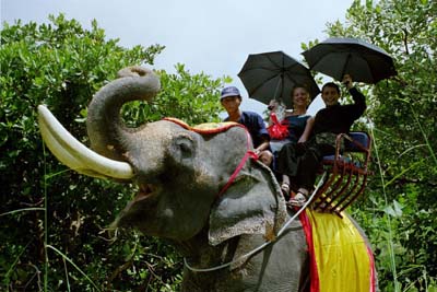 The happy couple (3)